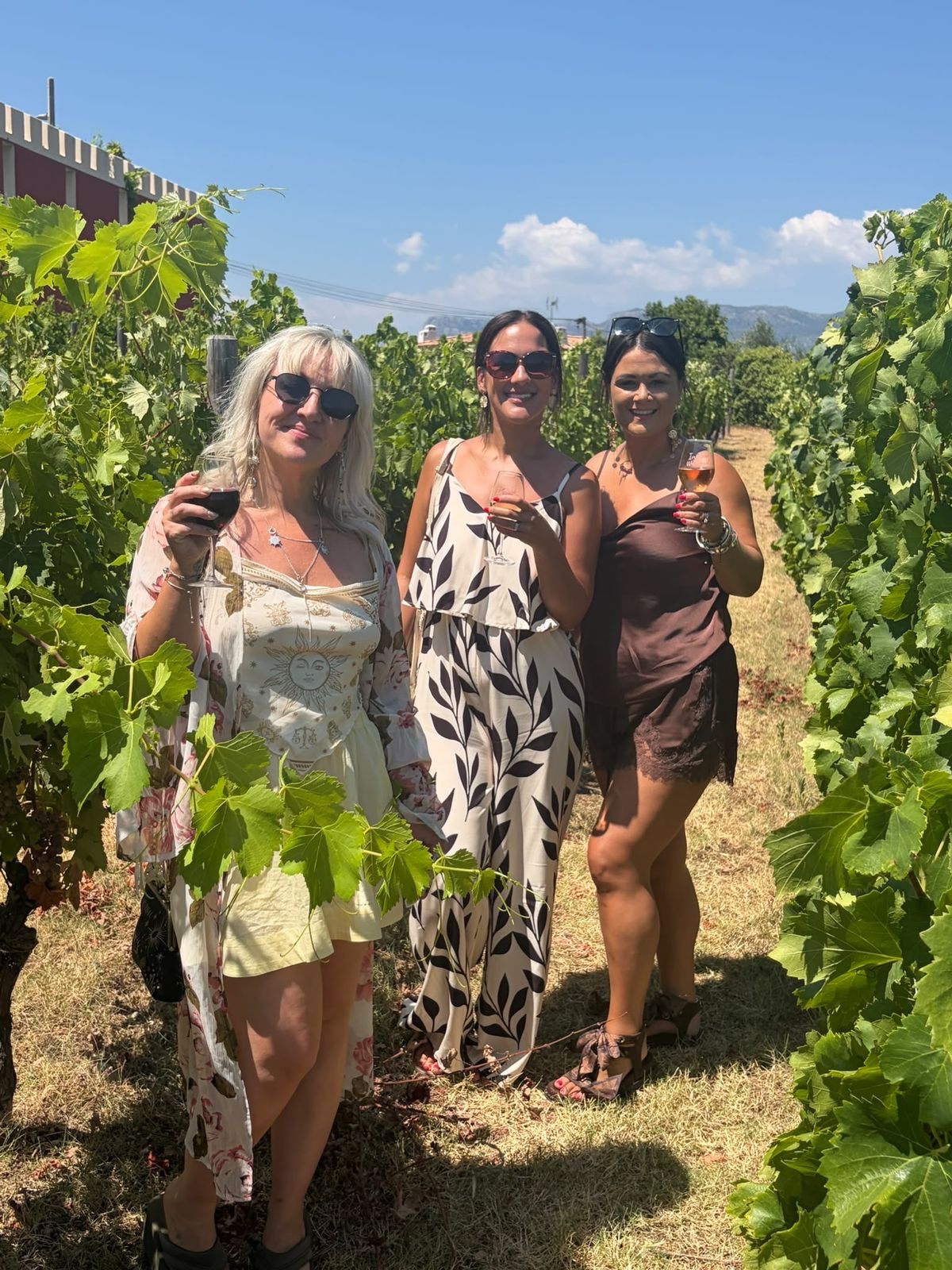 Trois invitées trinquant un verre de vin au milieu des rangs de vigne