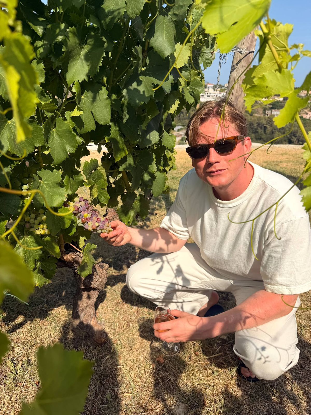 Dégustation de vin du domaine sous la tonnelle, entre les rangs de vigne du Château de Crémat